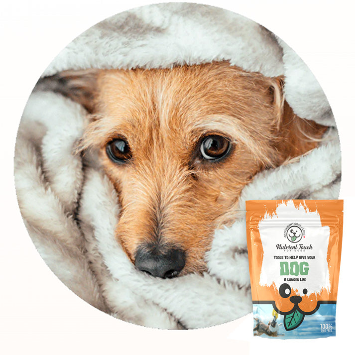 Antioxidant Soak - for dogs